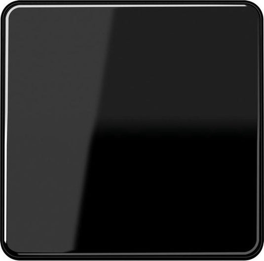 Jung cd500 schakelelement centrale plaat - cd590sw - e2v3u