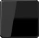 Jung cd500 schakelelement centrale plaat - cd590sw - e2v3u