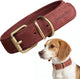 Peluvio rexor – leren hondenhalsband – bruin – m 36-44 cm – 3 cm breed – verstelbare halsband van rundleer – koperen gesp – voor middelgrote honden