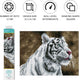 Diamond dotz® diamond dotz tiger blanc - diamond painting - 17.595 dotz - 41x31 cm
