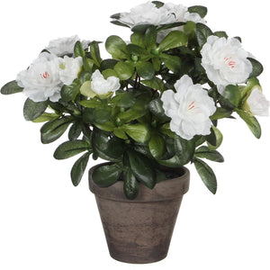 Mica decorations kunstplant - azalea - groen wit - 27 cm - met mooie bloemen