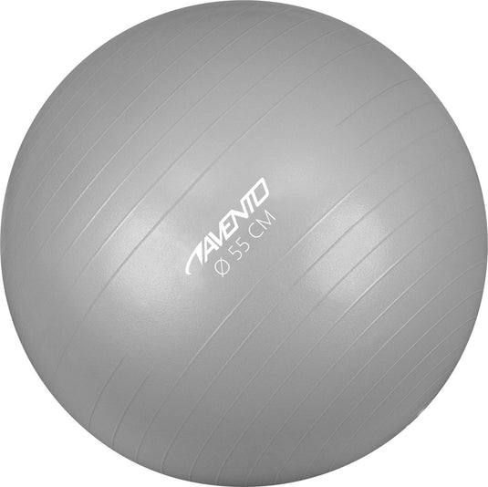 Avento fitness gymbal - ø 55cm - zilver