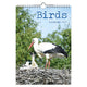 Comello vogel kalender 2027