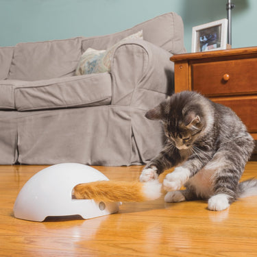 Petsafe frolicat vossenhol - automatische kattenplager - kattenspeelgoed