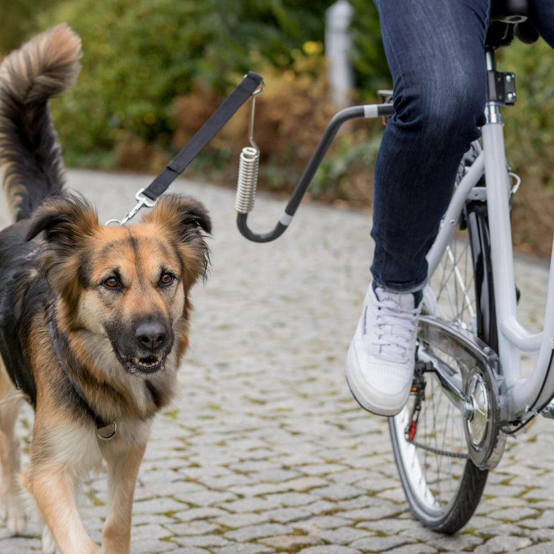 Afbeelding laden in galerijviewer, Trixie fietsbeugel u-vorm

