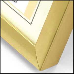 Zep fotolijst kg5 goud 30x40 cm