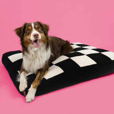 Coockoo hondenkussen cozy block zwart wit m-90x75x11cm