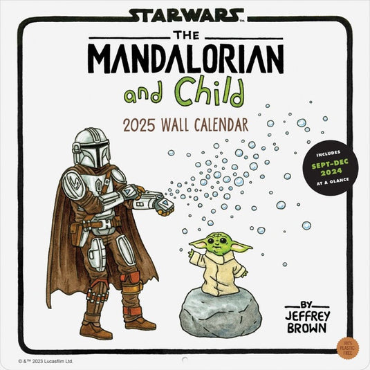 Star wars the mandalorian and child