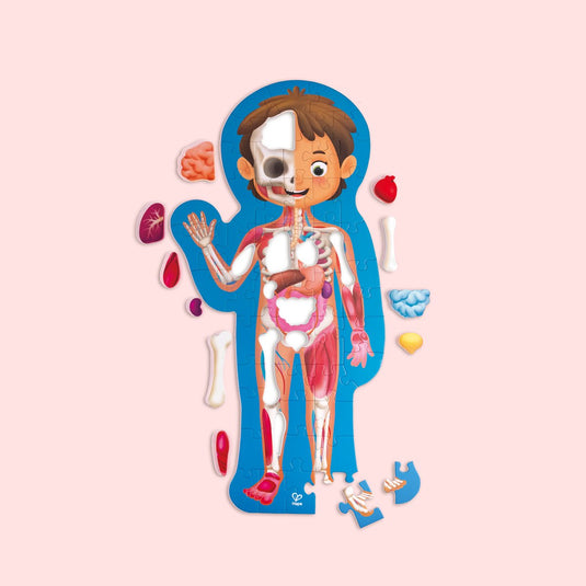 Hape mensenlichaam puzzel - 61-delig anatomie puzzel met 3d organen en poster, vanaf 3 jaar