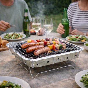 Alpina wegwerp barbecue instant, 31x25cm