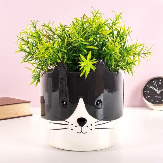 8430306276816