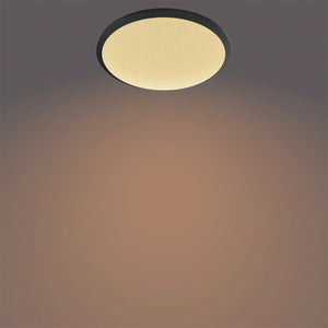 Philips led philips plafondlamp cl255 zwart 12w 2700k
