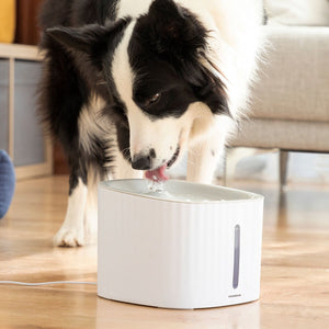 Innovagoods drinkfontein voor huisdieren drinkatt