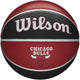 Wilson nba team tribute chicago bulls basketbal maat 7