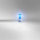 Osram halogeenlamp h7 12v 80w - wit ijsblauw 5500k intens - cool blue boost - set 2 stuks