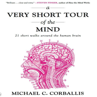 A very short tour the mind