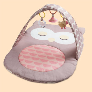 Hape babygym uil oscar