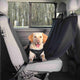 Trixie - hondendeken - auto achterbank - met deurbescherming - zwart - 150x135 cm