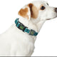 Hunter dog collar basic thread blue size m (33-50 cm)
