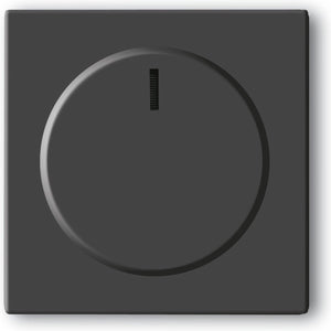 Busch-jaeger abb toekomstig bedieningselement centrale plaat schakelmateriaal - 2cka006599a2950 - e2b2x
