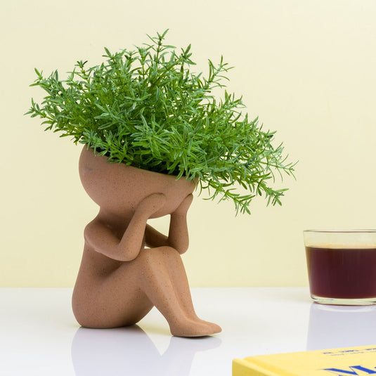 Winkee planten in mijn hoofd bloempot