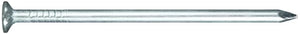 Fadix nagels spijkers platte kop - 2.7x50mm - 25 stuks