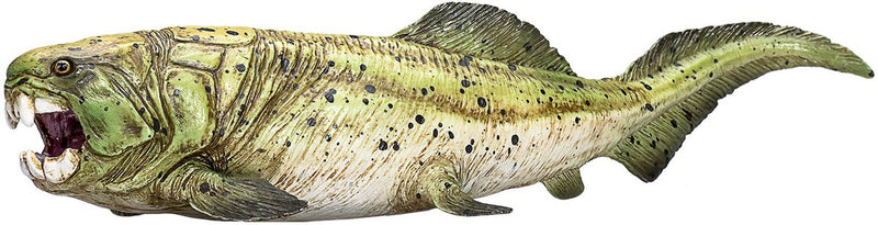 ギャラリービューアに画像をロードする, Mojo prehistorie dunkleosteus - 387374
