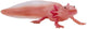 Mojo wildlife axolotl 381108
