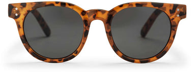 Chpo bril côte des basques x leopard black