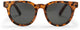 Chpo bril côte des basques x leopard black