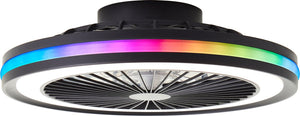 Brilliant palmero - plafondventilator - plafondventilator - led 40w - 3000k-6500k - dimbaar - zwart