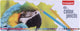 Bruynzeel parrot 45 kleurpotloden