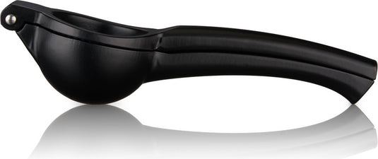 Thule fastride