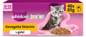 Whiskas kattenvoer - junior - gevogelte selectie in gelei - 40x85g