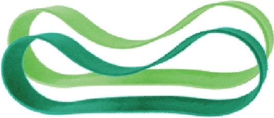 Pura silicone banden voor lunchbox - 2 stuks - mint en moss
