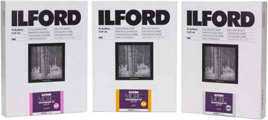 Ilford 1x100 mg rc dl 1m 13x18