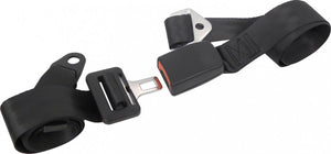 Carpoint 2-punts gordel - verstelbaar - voertuigcategorie m n - personenauto of campers (m) - bus, bestelauto of vrachtwagens (n) – lengte 190cm