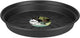 Elho green basics schotel 29 - schotel voor binnen en buiten - kweken en oogsten - ø 29.3 x h 4.2 cm - living black
