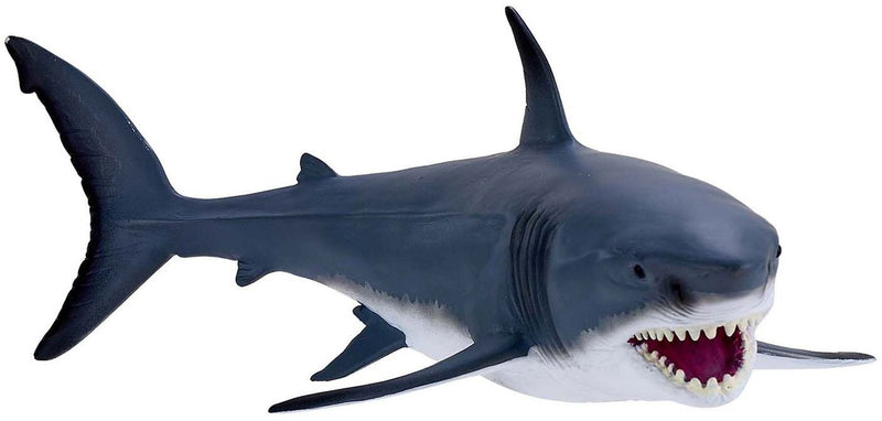 ギャラリービューアに画像をロードする, Mojo sealife witte haai - 381109
