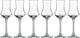 Schott zwiesel bar special (classico) grappaglas - 95ml - 6 glazen