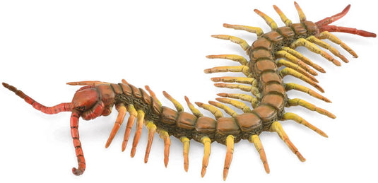 Collecta figurine - duizendpoot - (l) - insecten - handgeschilderd - miniatuur