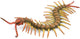 Collecta figurine - duizendpoot - (l) - insecten - handgeschilderd - miniatuur