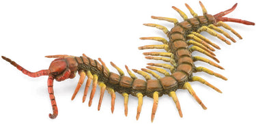 Collecta figurine - duizendpoot - (l) - insecten - handgeschilderd - miniatuur
