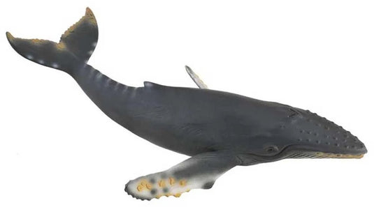Collecta figurine - bultrug walvis - (xl) - zeedieren - handgeschilderd - miniatuur