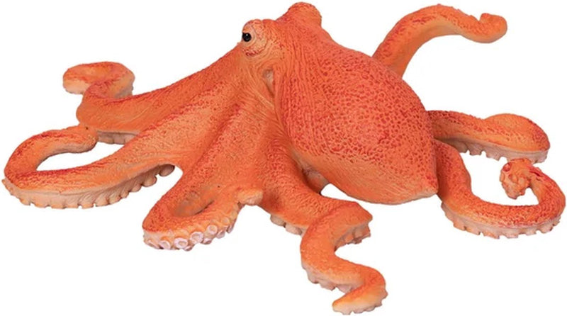 ギャラリービューアに画像をロードする, Mojo sealife octopus - 381036
