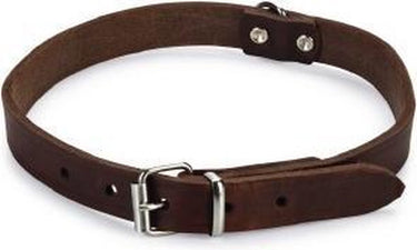 Beeztees - halsband hond - leer - bruin - 43-52 cm x 20 mm