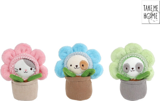 Take me home poes in pot pluche - 16cm