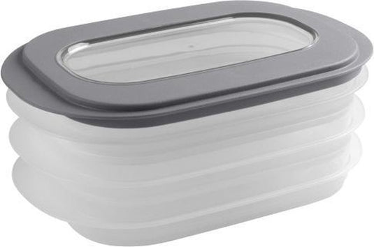 Sunware sigma home vleeswarendoos - 26.5x17.2x10.5 cm - transparant grijs