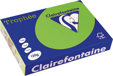Clairefontaine trophée intens, gekleurd papier, a4, 120 g, 250 vel, grasgroen