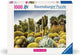 Ravensburger legpuzzel huntington desert garden 1000 stukjes landschap.